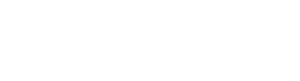 Dan Houchin Trucking WhiteLogo