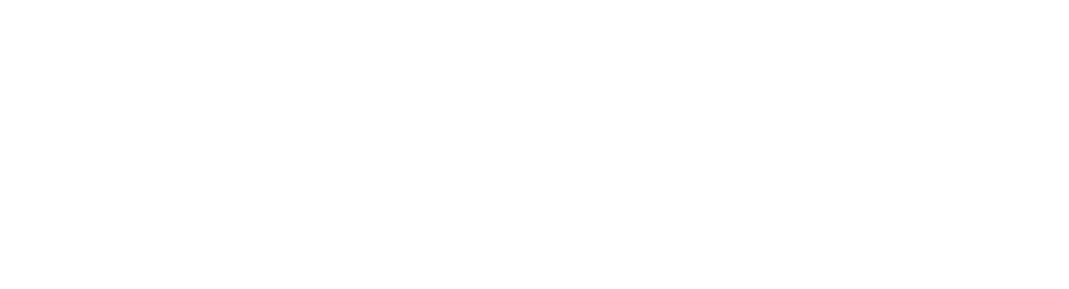 Dan Houchin Trucking WhiteLogo